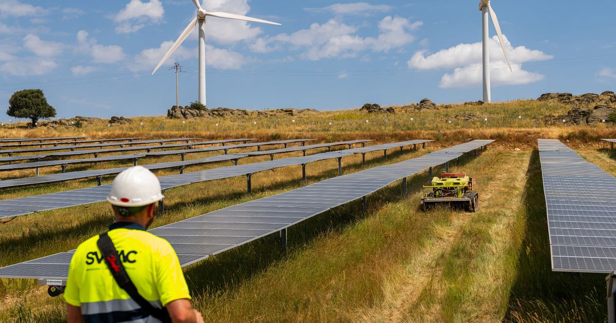 التمويل الأخضر يقفز إلى مستوى قياسي رغم العقبات 