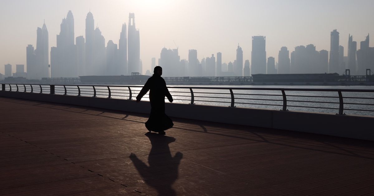 "ستاروود" تحصل على ترخيص مكتب بدبي وتدرس الاستثمار في الخليج