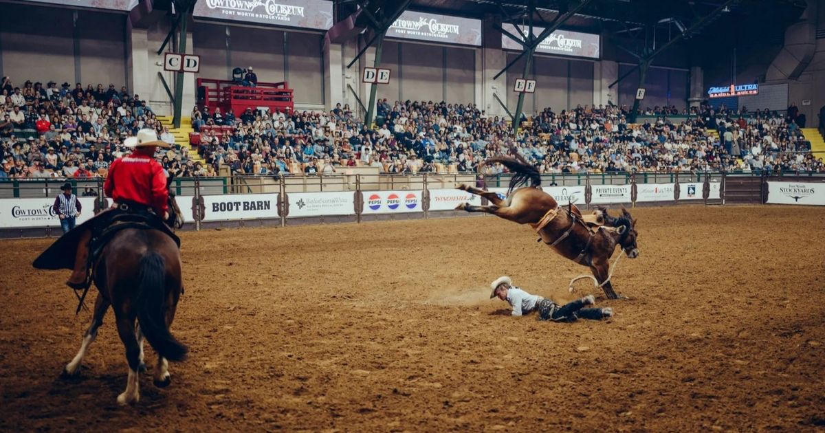 كيف يمكن لزيارة إلى تكساس أن تعرفكم على أميركا 2026؟ 