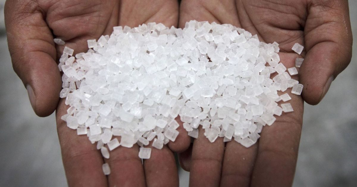 طفرة إنتاج بلا عائد.. لماذا تخسر مصانع السكر في مصر؟ 