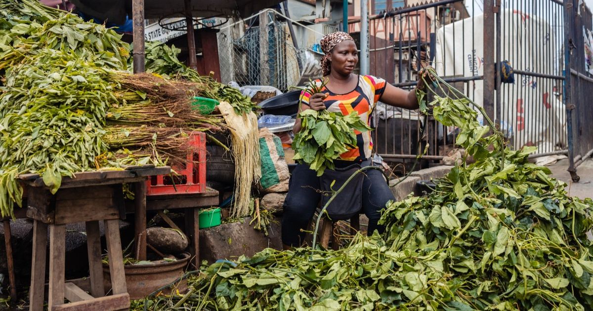 الإمارات تعزز التجارة مع أفريقيا لضمان الأمن الغذائي واغتنام فرص النمو