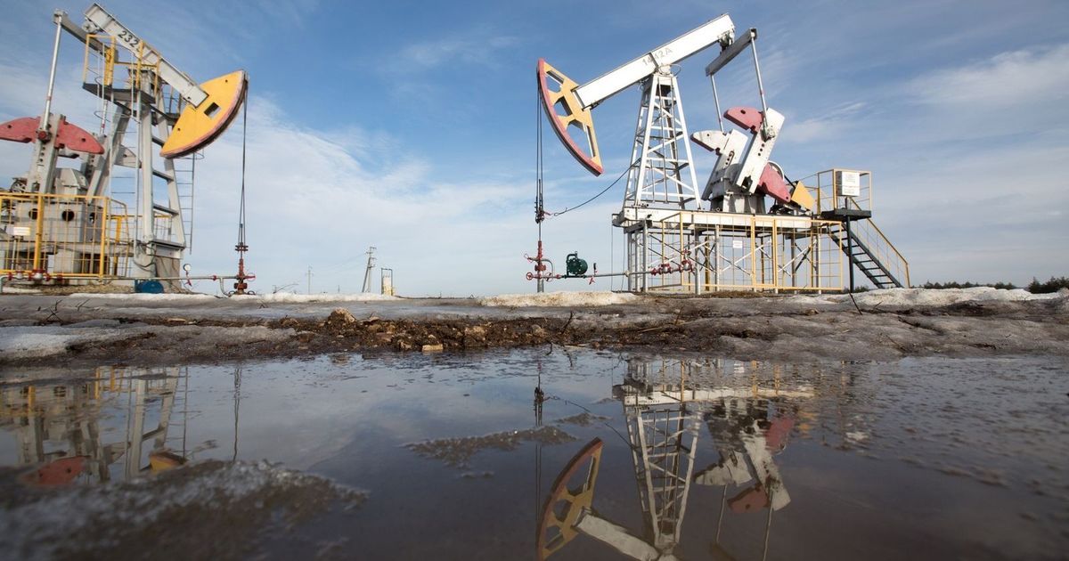Oil Prices Decline: Putin-Tremblay Meeting Fuels Anticipation - News Directory 3
