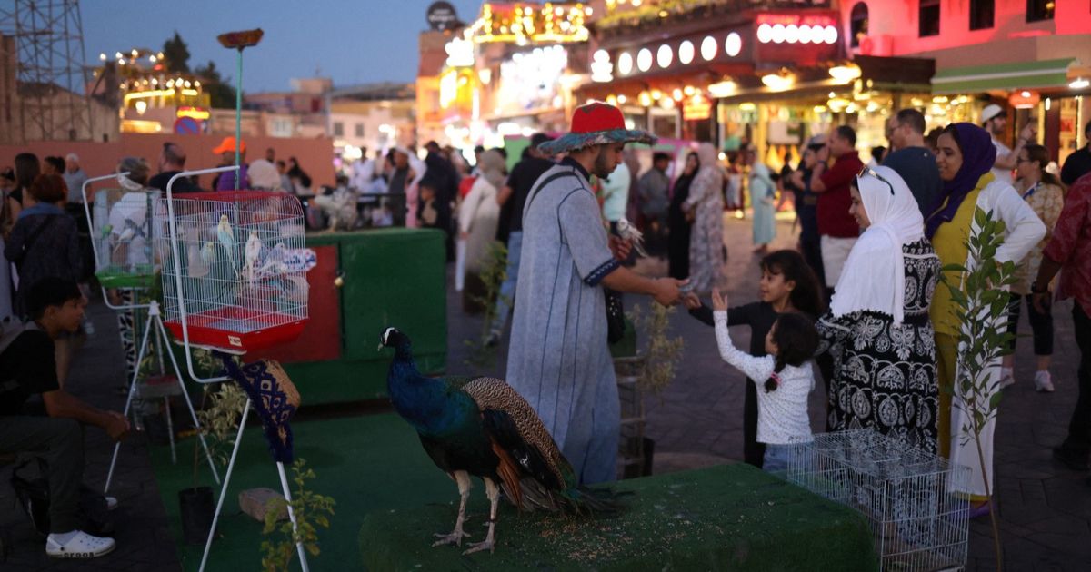 Morocco's Tourism Sector Booms Ahead of World Cup, Attracting $1 Billion in Investment - News Directory 3