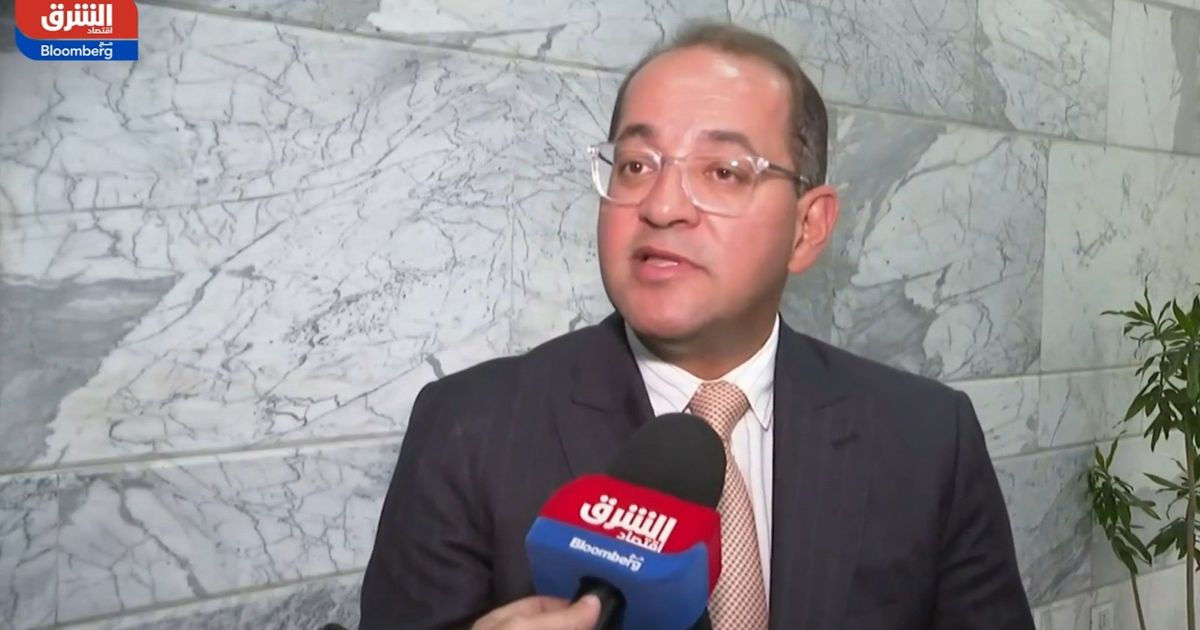 وزير المالية لـ"الشرق": مصر تعمل لطرح سندات للمغتربين خلال العام الجاري