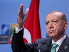 أردوغان يتطلع لإحياء اتفاق الحبوب مع بوتين قبيل اجتماعات G20