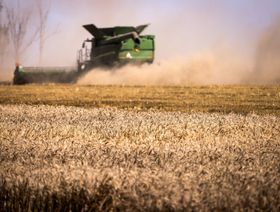أستراليا تتجه لتحقيق إنتاج قياسي من القمح رغم تضرر المحاصيل