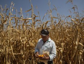 البرازيل تتفاوض للحصول على تمويل بملياري دولار لزيادة الأراضي الزراعية
