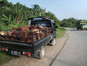 حظر إندونيسي يقفز بأسعار زيت النخيل ويهدد بتفاقم تضخم الغذاء عالمياً