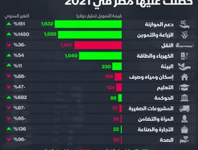 إنفوغراف.. 16% من التمويلات التي حصلت عليها مصر لدعم الموازنة