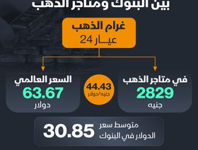 إنفوغراف: متاجر الذهب في مصر تُسعّر الدولار بـ44 جنيهاً