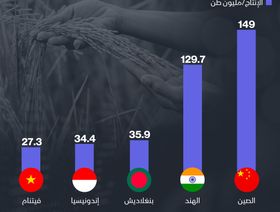 إنفوغراف.. أكبر 5 منتجين للأرز في العالم
