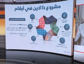 نظمي النصر: العام الجاري سيشهد الإعلان عن تفاصيل مناطق مختلفة بـ\"نيوم\"