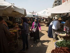 أوجاع مصر بعد اتفاق صندوق النقد درس للدول المثقلة بالديون