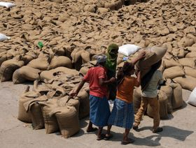 وزير: إعفاء مصر من حظر تصدير القمح الهندي