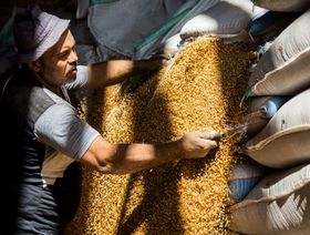 مصر تلغي شحنات بـ240 ألف طن من عقود القمح الأوكراني