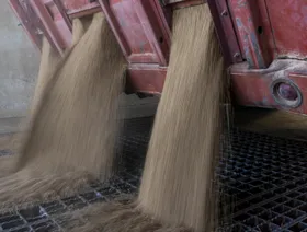 شاحنة تفرغ شحنة من القمح الشتوي المحصود في بيسي، أوكلاهوما، الولايات المتحدة - بلومبرغ