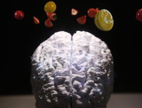 نموذج لمخ الإنسان  - المصدر: غيتي إيمجز
