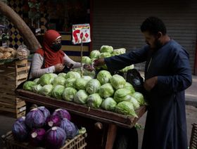 مصر تحصل على مليارَي دولار من الصندوق الدولي للتنمية الزراعية