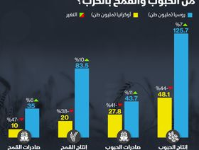 إنفوغراف.. كيف تأثر إنتاج روسيا وأوكرانيا من الحبوب بالحرب؟