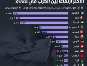 إنفوغراف: ماذا حدث لثروات المصريين في 2022؟