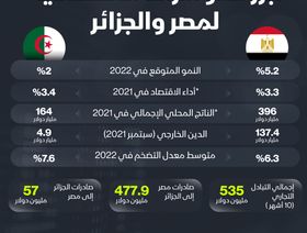 إنفوغراف.. التبادل التجاري بين مصر والجزائر يتجاوز نصف مليار دولار