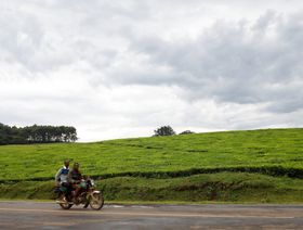مزرعة شاي في قرية توجونون في كيريشو. كينيا - المصدر: رويترز