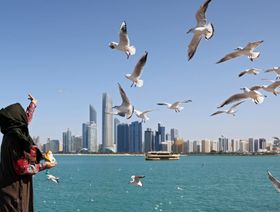 الإمارات تحتاج 670 مليار دولار لتمويل الحياد المناخي