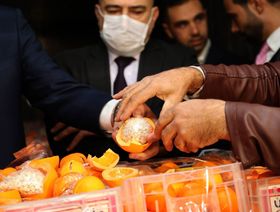 برتقال مزيف مليء بحبوب الكبتاغون، ضبطته الجمارك ولواء مكافحة المخدرات في مرفأ بيروت، لبنان، عام 2021  - المصدر: غيتي إيمجز/ وكالة الصحافة الفرنسية