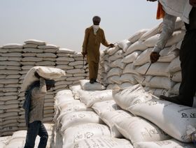 أثر محدود لوقف صادرات القمح الهندي على المدى الطويل