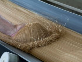 تراجع الطلب على القمح يقود الصادرات الروسية إلى الانخفاض