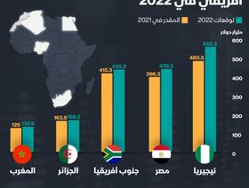 إنفوغراف.. الاقتصاد المصري ثاني أكبر اقتصاد إفريقي في 2022