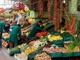جانب من سوق للفواكه والخضراوات في العاصمة الرباط، المغرب، 15 يناير 2013 - رويترز