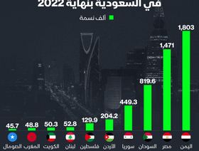 اليمنيون والمصريون والسودانيون أكبر ثلاث جاليات عربية في المملكة - المصدر: الشرق