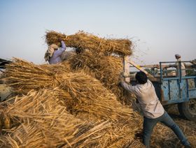 صادرات القمح الهندي تقترب من بلوغ رقم قياسي مع تعطّل الإمدادات من أوكرانيا