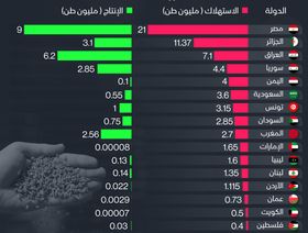 إنفوغراف.. عجز القمح في الدول العربية