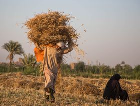 مصر تحصل على تمويل إضافي بـ3 مليارات دولار لمواجهة أزمة القمح