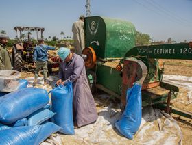 زيادة أجور القطاع الخاص في مصر مجدداً مع تدهور سعر الجنيه