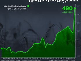 إنفوغراف.. 44% قفزة في أسعار القمح القادم إلى مصر خلال شهر