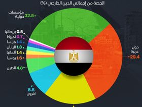 إنفوغراف: 32% حصة المؤسسات الدولية من ديون مصر الخارجية