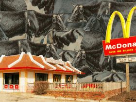 "ماكدونالدز" تواجه صعوبات كبيرة في حل مشكلة الميثان الناجمة عن الأبقار - المصدر: بلومبرغ