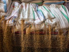 مصر تتوقع بدء شراء القمح بموجب الاتفاق مع الإمارات في يناير