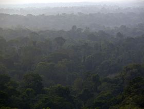 غابات مطيرة في جنوب ولاية بارا في منطقة الأمازون، بالقرب من بيلو مونتي، البرازيل - المصدر: بلومبرغ