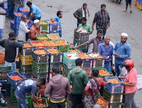 \"جنون الطماطم\" يقفز بأسعارها 700% في الهند