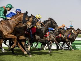 كأس السعودية لسباق الخيل تنطلق بجوائز تتجاوز 37 مليون دولار