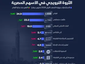 إنفوغراف: كيف تتوزع استثمارات صندوق النرويج بالأسهم المصرية؟