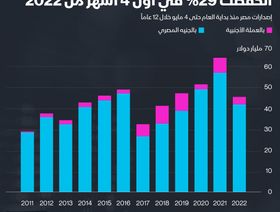 إنفوغراف.. إصدارات مصر من أدوات الدين الحكومية تنخفض 29%