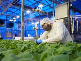 منظمة الصحة ترفض لقاح شركة "ميديكاغو" بسبب ارتباطاتها بصناعة التبغ - المصدر: بلومبرغ