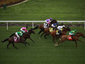 سباق خيول أصيلة تتسابق في سباق على العشب ضمن بطولة كنتاكي ديربي في تشرشل داونز في لويفيل، كنتاكي، الولايات المتحدة. - المصدر: بلومبرغ