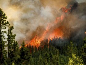 25 مليون فدان.. حرائق الغابات تدمر أراضي قياسية في كندا