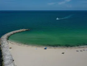 أحد شواطئ المحيطات حيث تتغير ألوانه على مر الزمن، فكلما زادت العوالق النباتية في الطبقات العليا زاد اخضراراً - المصدر: بلومبرغ